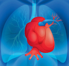 Organismus Raumlufttechnik