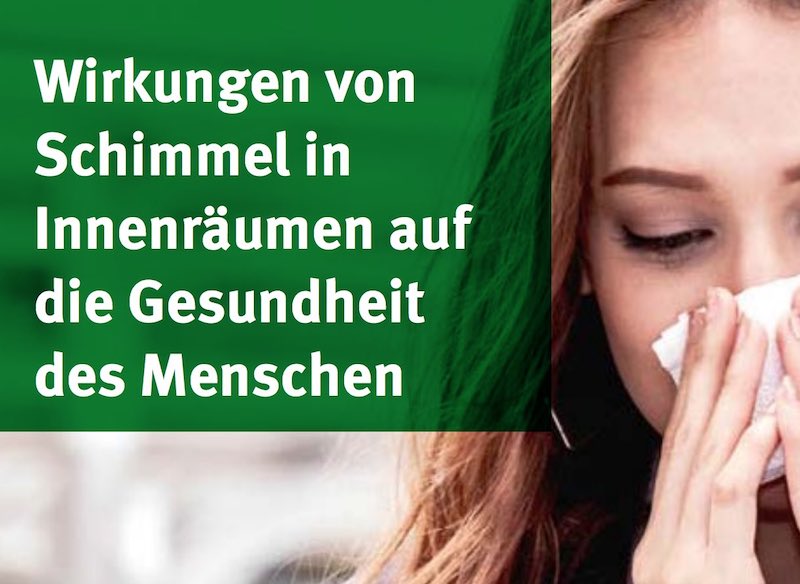 Wirkung von Schimmel in Innenraumen