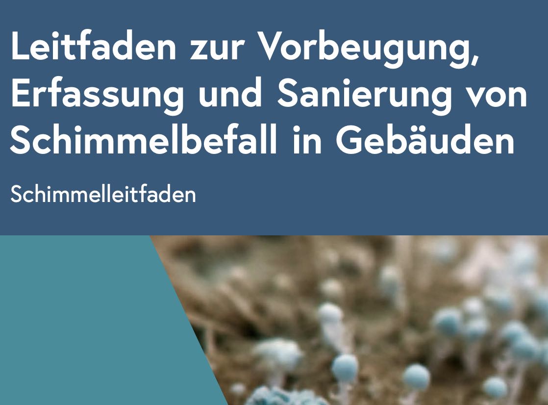Schimmelleitfaden