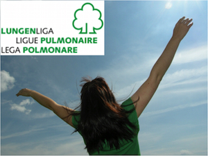 Bietenhard-BauHolzEnergie2014