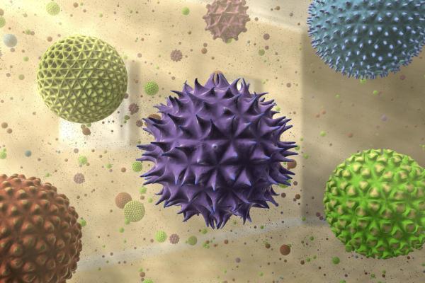 Pollen and dust artwork